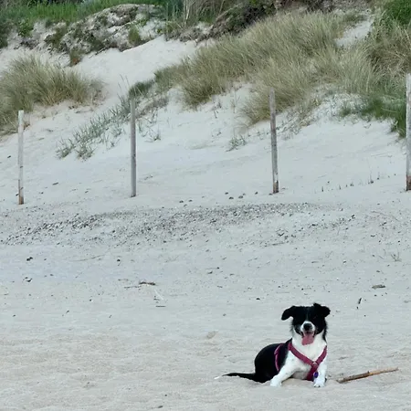 7 - Maja Lejlighed Dziwnówek