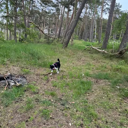 Lejlighed 7 - Maja Dziwnówek