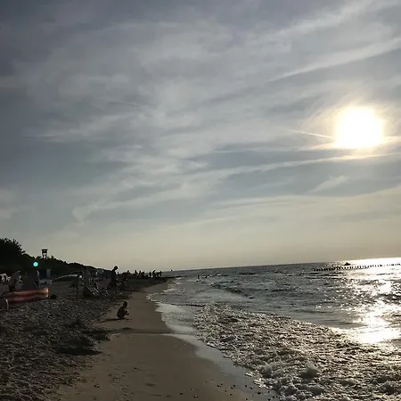 Apartament 7 - Maja *