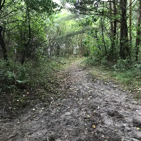 Apartament 7 - Maja *