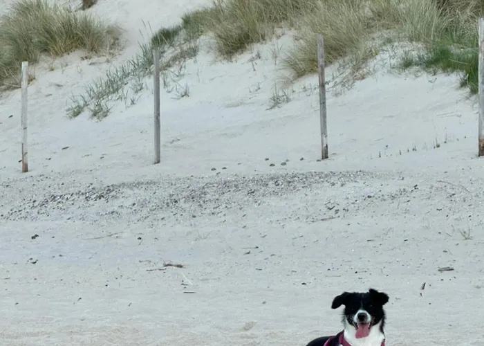 7 - Maja 公寓 Dziwnówek