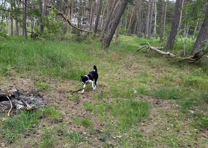 公寓 7 - Maja Dziwnówek